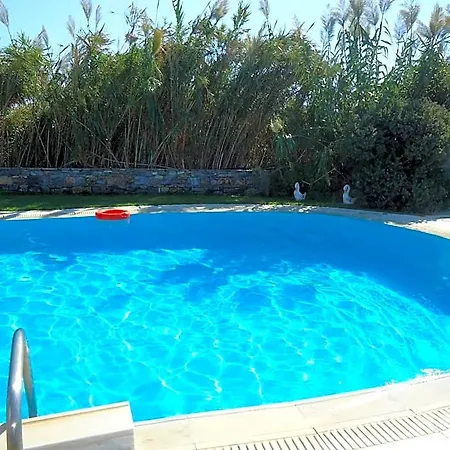 Colosseo Star 4* 아기오스프로코피오스